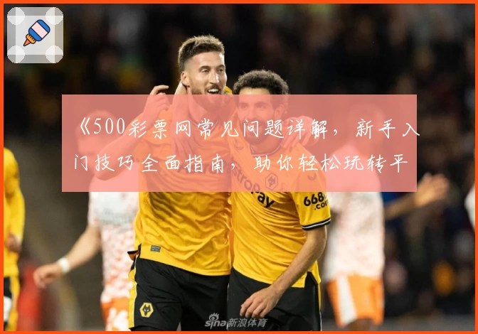 《500彩票网常见问题详解，新手入门技巧全面指南，助你轻松玩转平台功能》