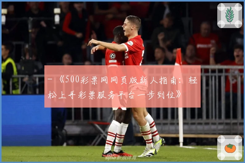 - 《500彩票网网页版新人指南：轻松上手彩票服务平台一步到位》