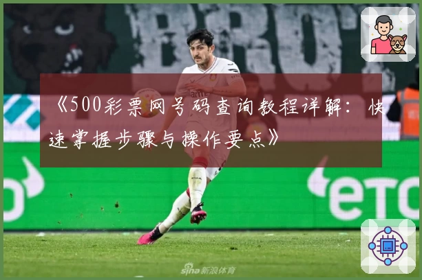 《500彩票网号码查询教程详解：快速掌握步骤与操作要点》
