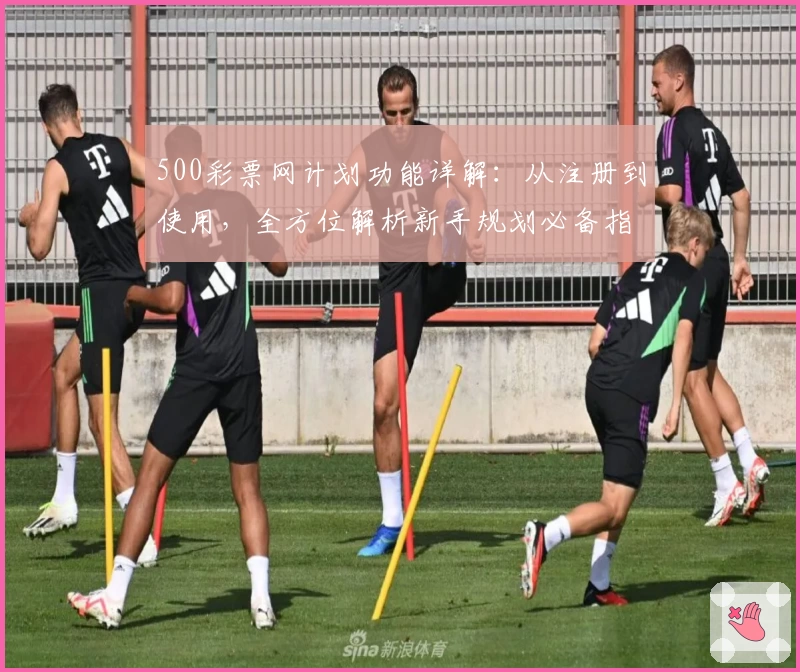 500彩票网计划功能详解：从注册到使用，全方位解析新手规划必备指南