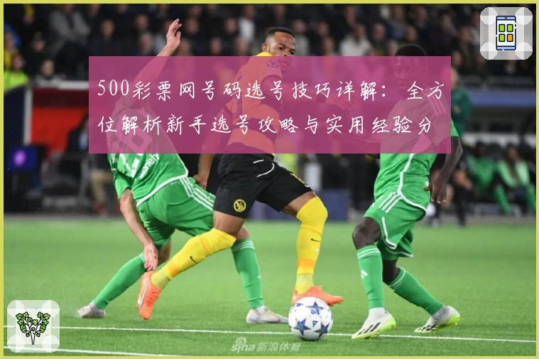 500彩票网号码选号技巧详解:全方位解析新手选号攻略与实用经验分享