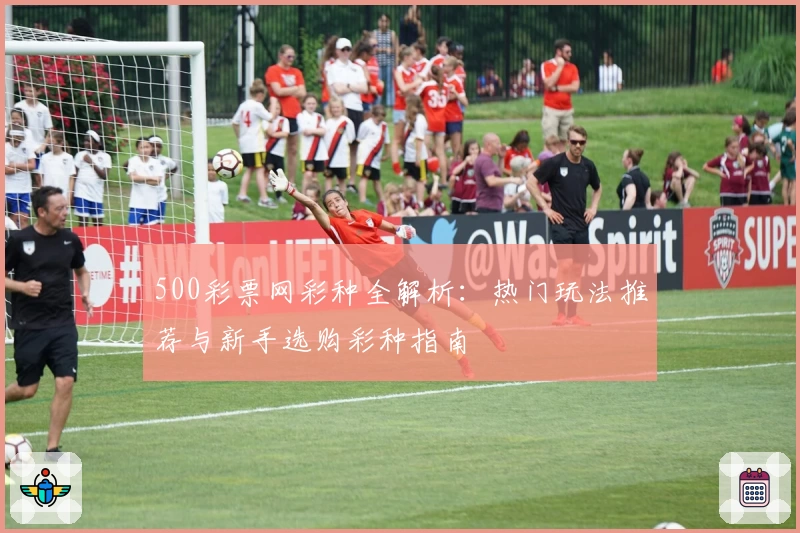 500彩票网彩种全解析：热门玩法推荐与新手选购彩种指南