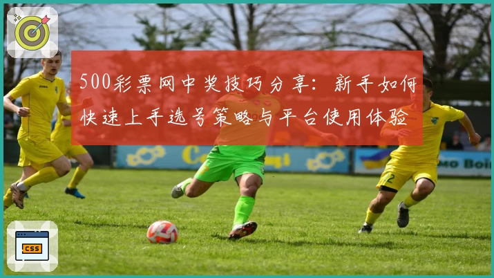 500彩票网中奖技巧分享：新手如何快速上手选号策略与平台使用体验解析